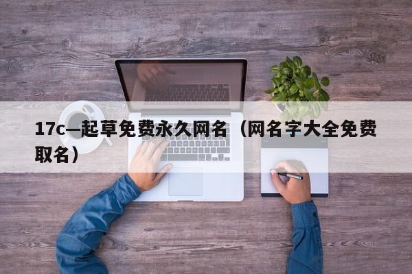 17c—起草免费永久网名(网名字大全免费取名)