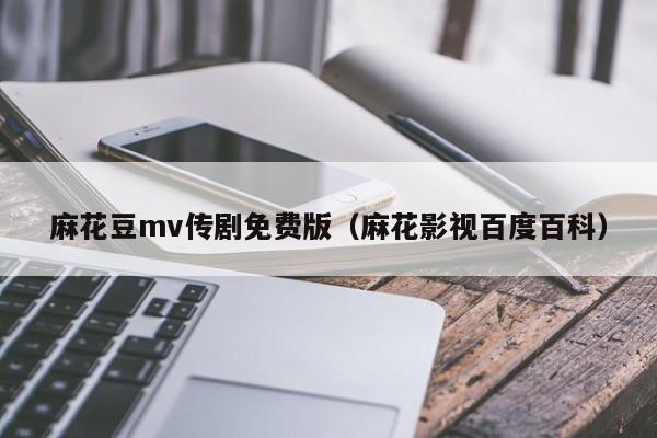 麻花豆mv传剧免费版(麻花影视百度百科)