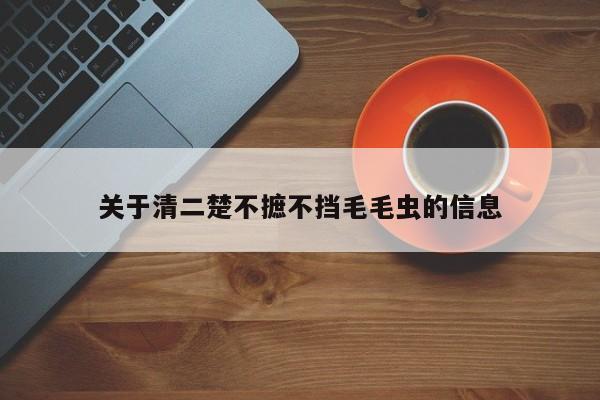 关于清二楚不摭不挡毛毛虫的信息